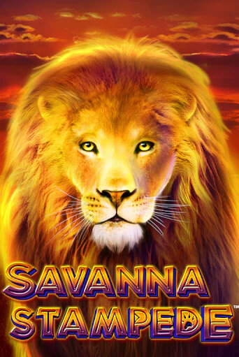 Savanna Stampede игра онлайн | Casino 888 бесплатно и без регистрации