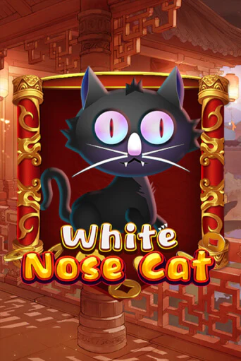White Nose Cat игра онлайн | Casino 888 бесплатно и без регистрации