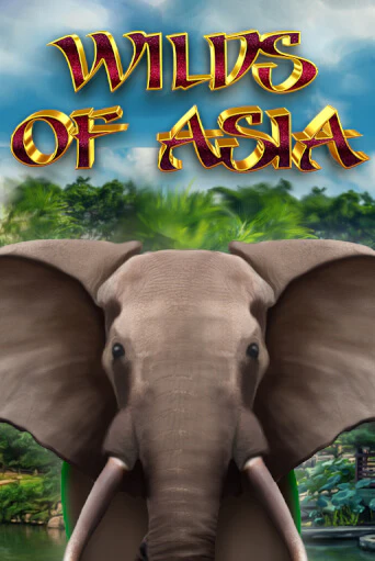 Wilds of Asia игра онлайн | Casino 888 бесплатно и без регистрации