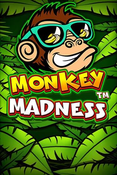 Monkey Madness игра онлайн | Casino 888 бесплатно и без регистрации